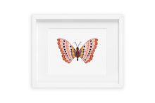 Blush Pink Modern Butterfly Art Print