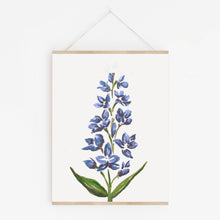 Hand drawn Delphinium flower art print in blues and purples on white background.