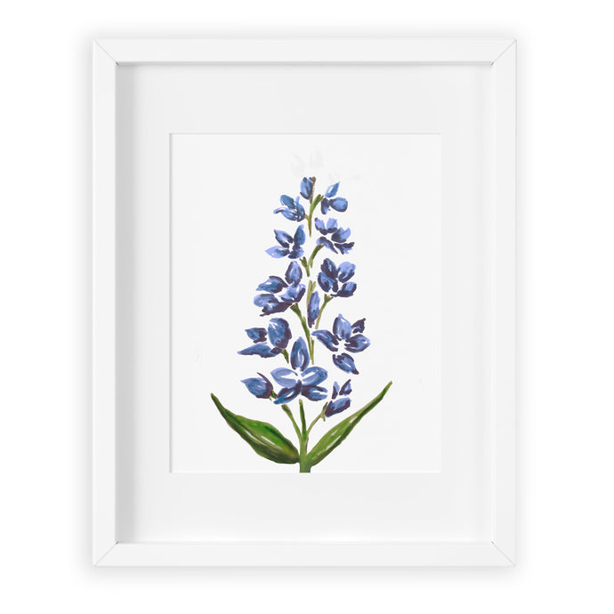 Hand drawn Delphinium flower art print in blues and purples on white background.