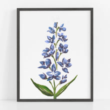 Hand drawn Delphinium flower art print in blues and purples on white background.