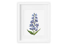 Delphinium Wall Decor | Apartment Wall Decor | Urban Art | Dorm Art | Flower Prints